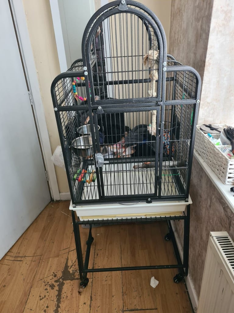 Rainforest Santa Fe Top Opening Parrot Cage with stand