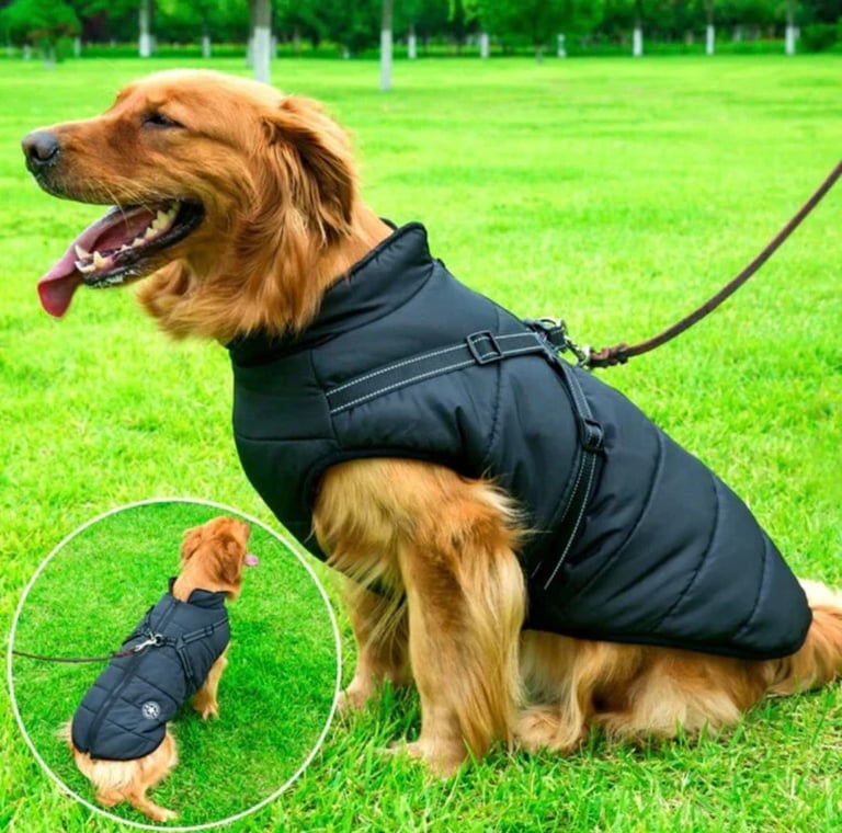 Brand New Dog Waterproof Winter Coat Black with Built in Harness
