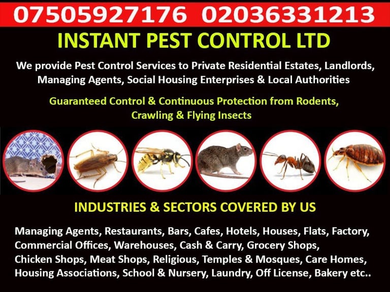 24/7 100% Guaranteed Eastham Woolwich Barking Pest Control Mice Bedbug Rat Cockroach Ant Flea Mouse