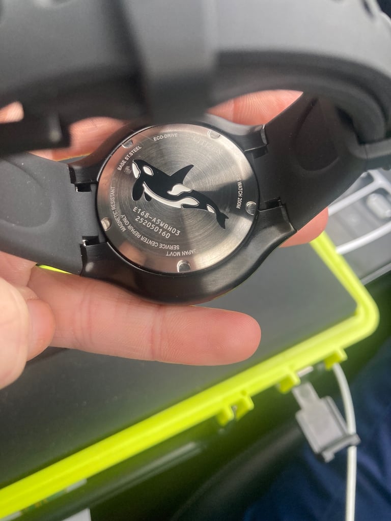 Citizen promaster divers watch