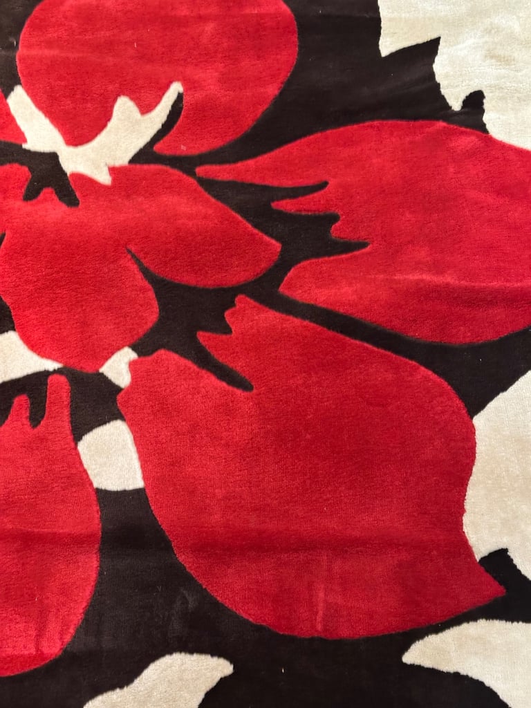 VERY LARGE RUG - FREE DELIVERY IN LOCAL AREA 