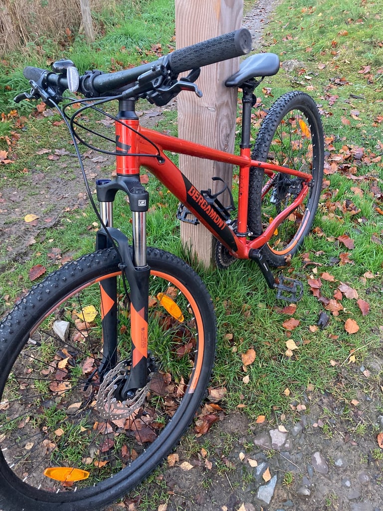 Bergmont Revox 4 Mountain Bike