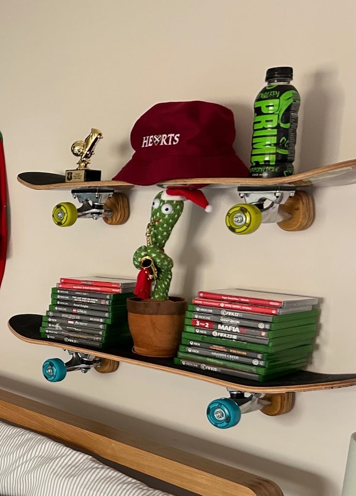 Skateboard shelves 