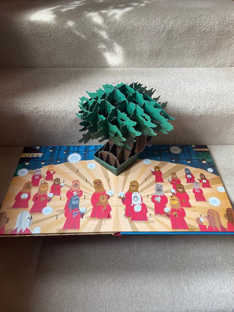 Star Wars Pop-up Book and Advent Calendar and pencil case. £10. Collect Chichester