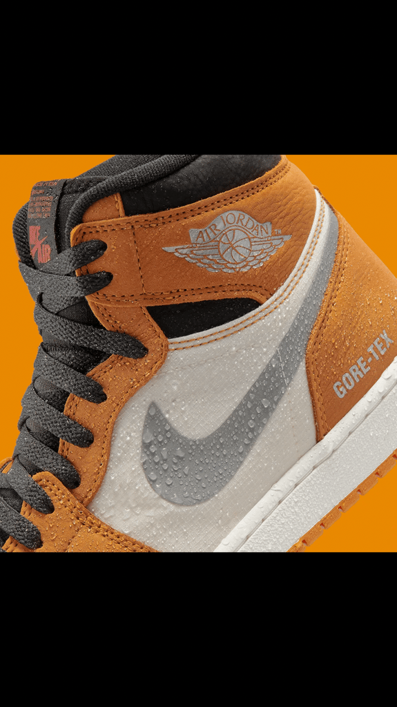 The Air Jordan 1 Element GORE-TEX