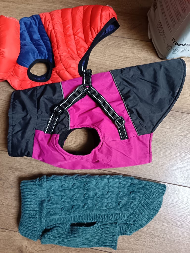 Puppy carrier and coats