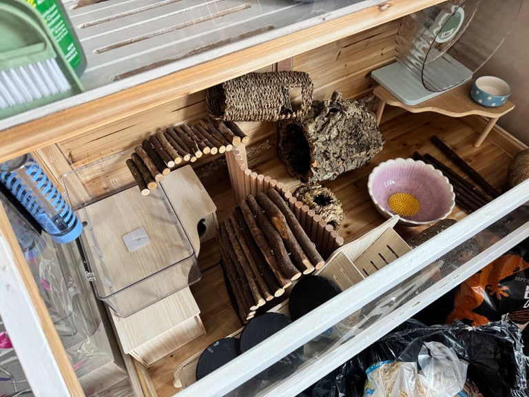 Hamster cage full setup/enclosure 