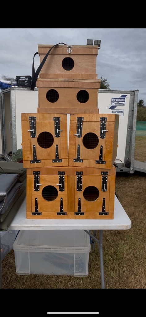 Terrier boxes ( Ferret terrier patterdale Lakeland russles )