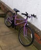 Girls Universal Rampage Bike. 10 Gears. 24ins Wheels. 