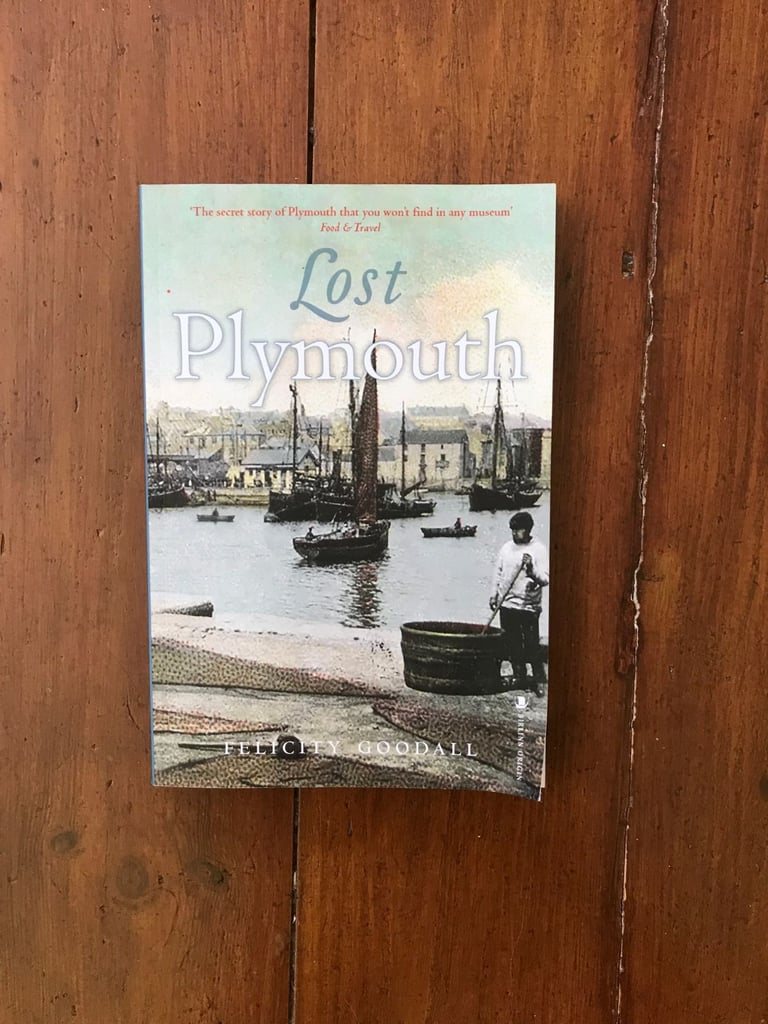 image for Lost Plymouth book by Felicity Goodall vgc