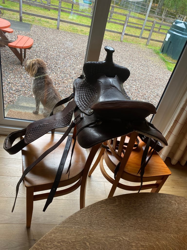 Western saddle