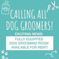Dog Grooming Salon to Rent in NW London! Grooming Equipment Included & extensive list of clients!