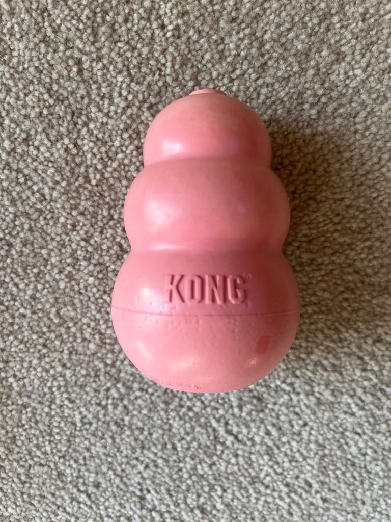 Kong Puppy 