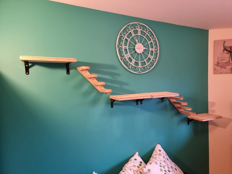 image for Cat exercise play climbing shelves