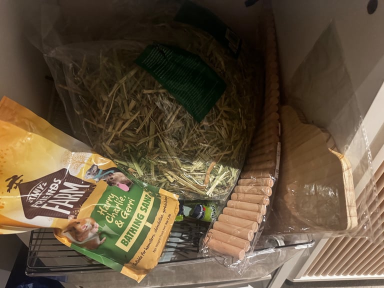 Complete Syrian Hamster Set 