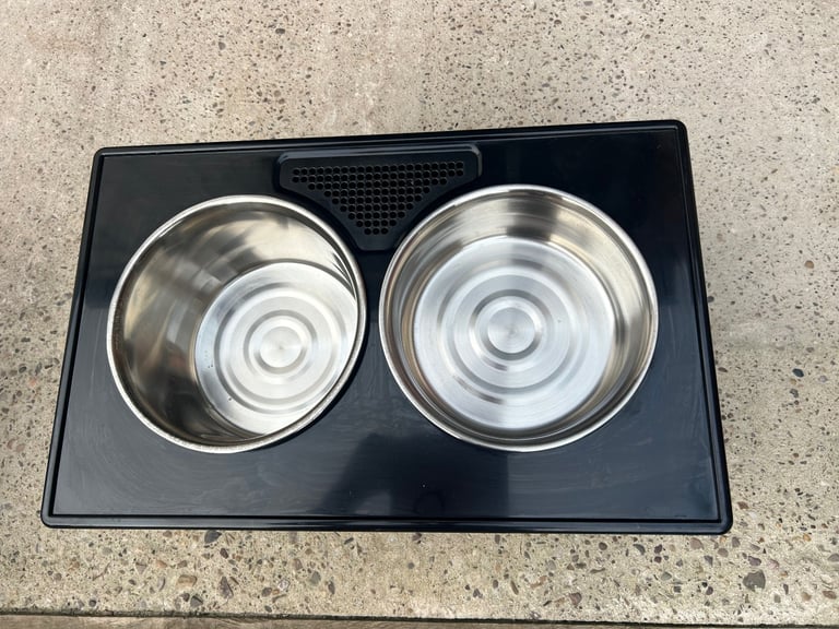 Raised dog bowls with stand