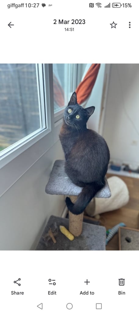 Brother and sister titch & lola 