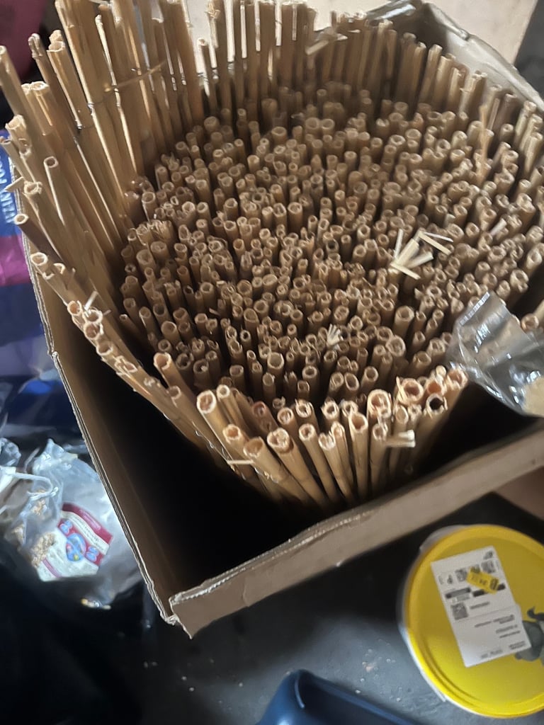 image for New reed fencing 