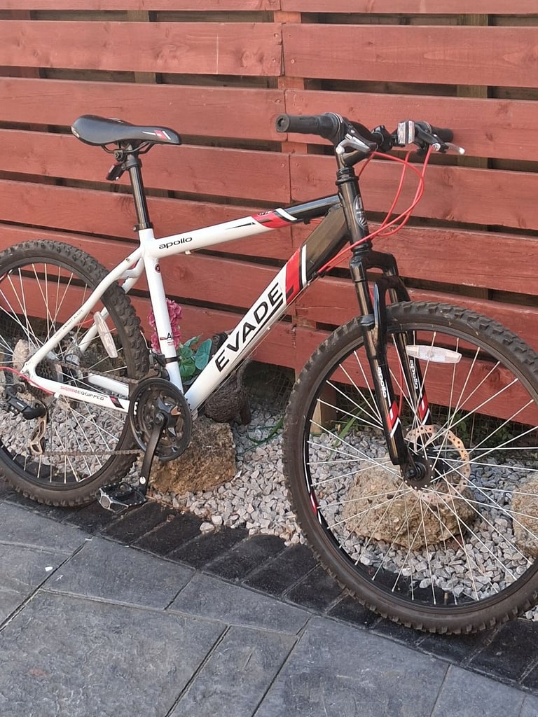 Clearance thorn bikes for sale Outlet