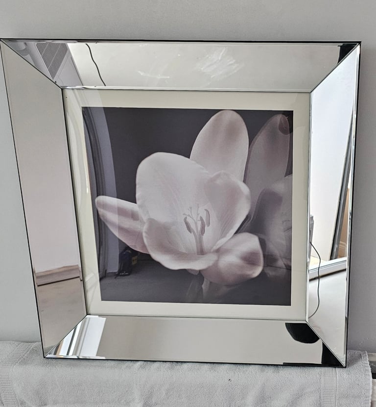 image for Mirror Picture 