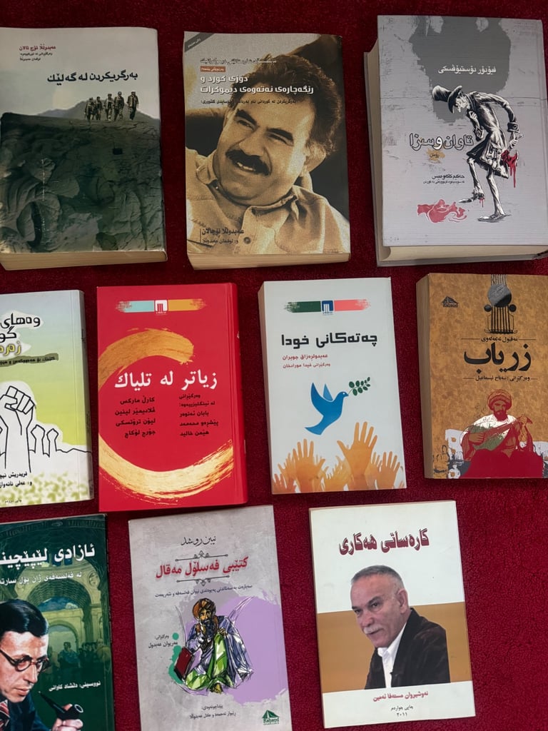 Kurdish books 📚