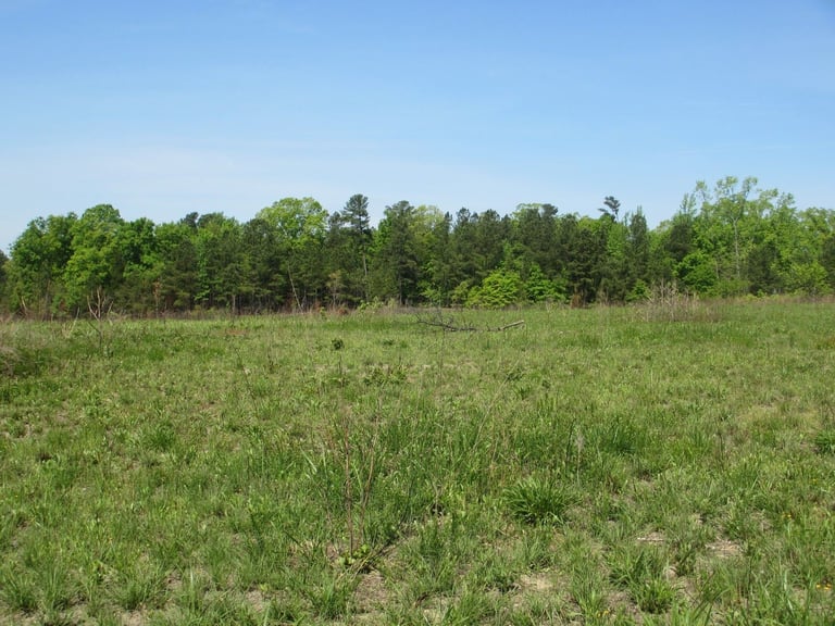 Land for rent FALKIRK