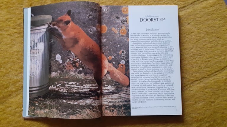 Wildlife On Your Doorstep Readers Digest