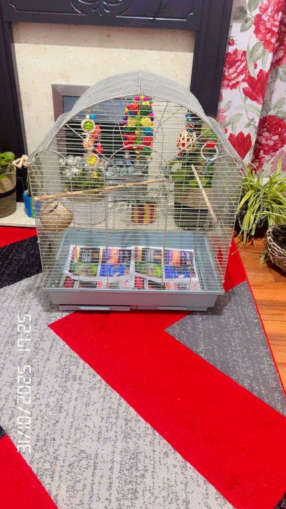 Large bird cage with accessories 