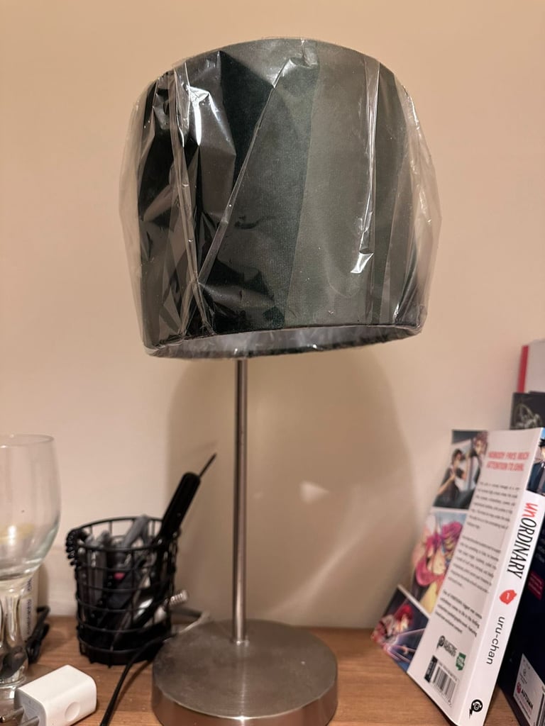  Modern Lamp – Excellent Condition : £5