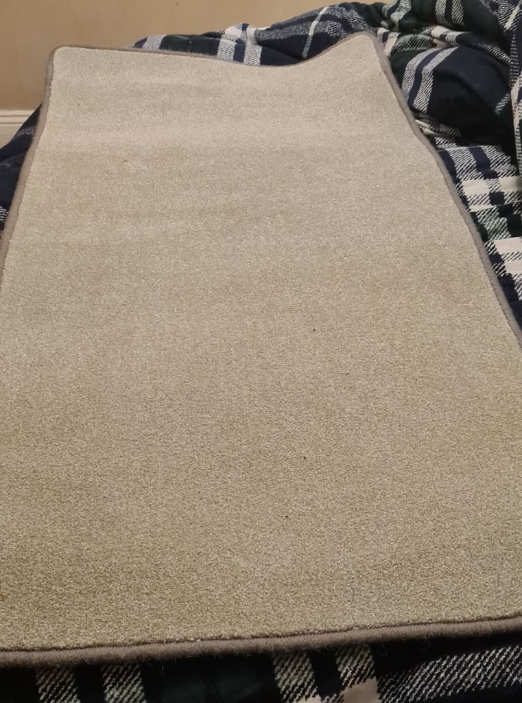 image for Light grey carpet rug