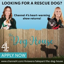 Thinking of getting a dog? Have you considered rehoming?