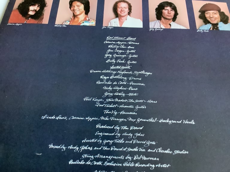 Vinyl Album Rod Stewart Blondes Have More Fun