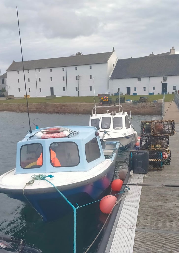 TaskForce 5.8 m Sea Fishing boat with 2 outboards and trailer