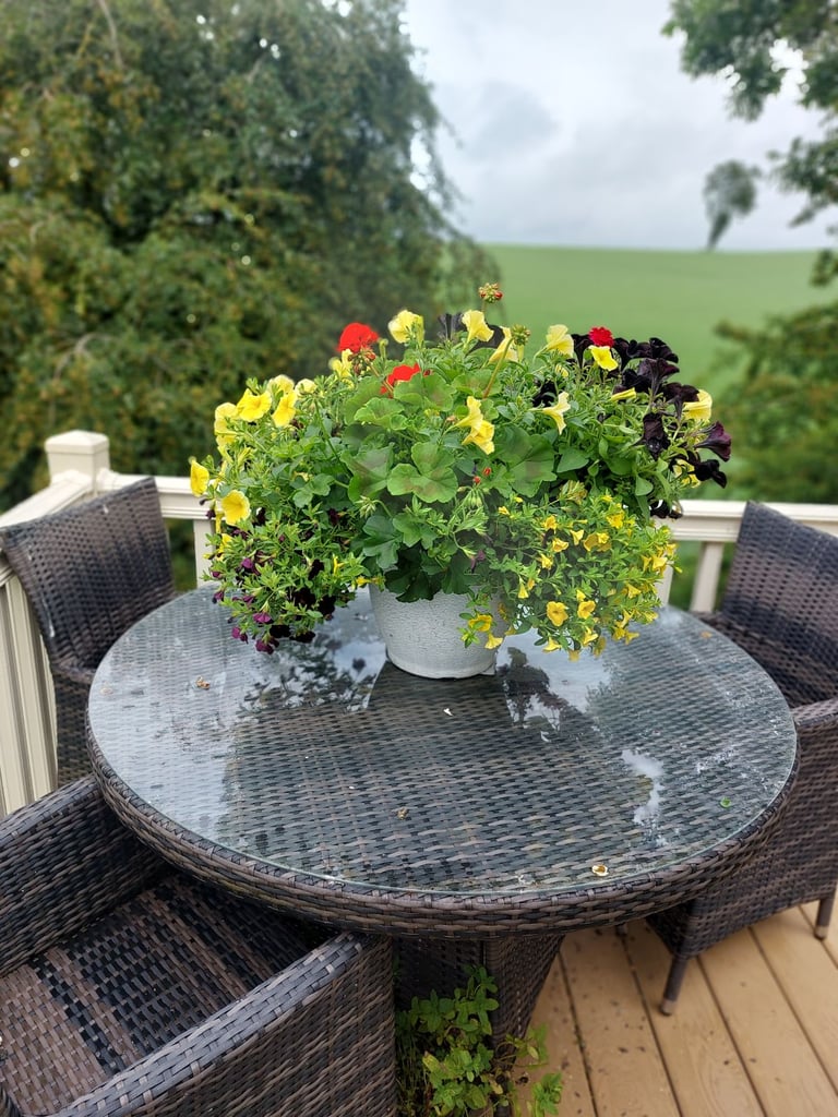 ABI St David static caravan