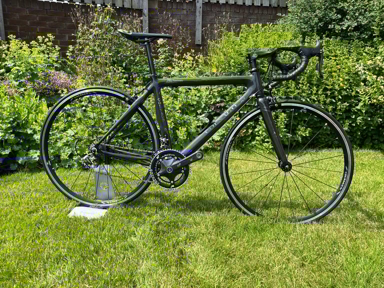 Colnago (Never Used)Bicycle C50 Anniversary bike 52cm