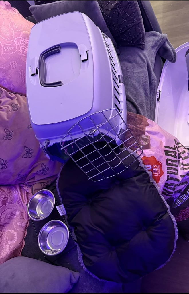 Pet carrier & Matt used twice 