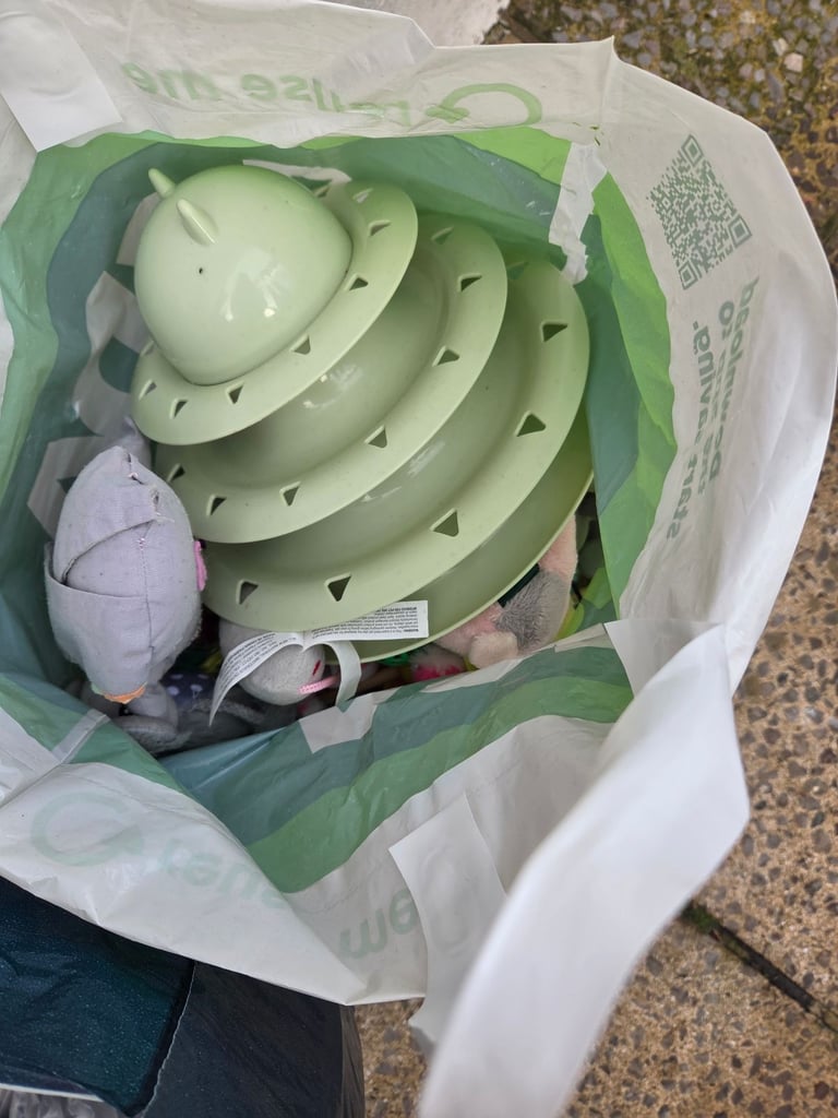 image for Massive cat or kitten bundle