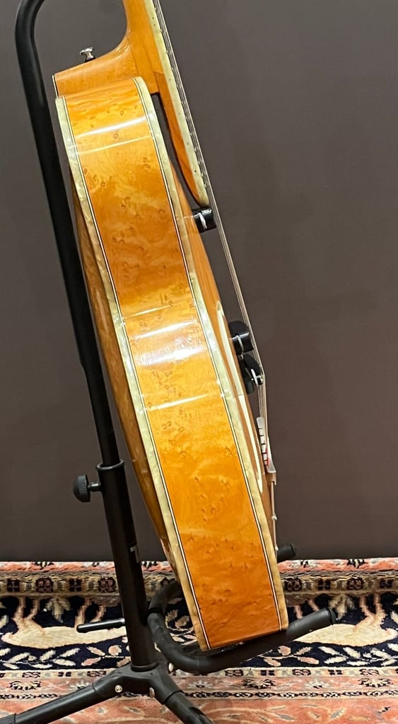 1959 Hofner Committee