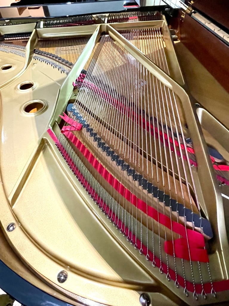 Fully Restored Yamaha C5