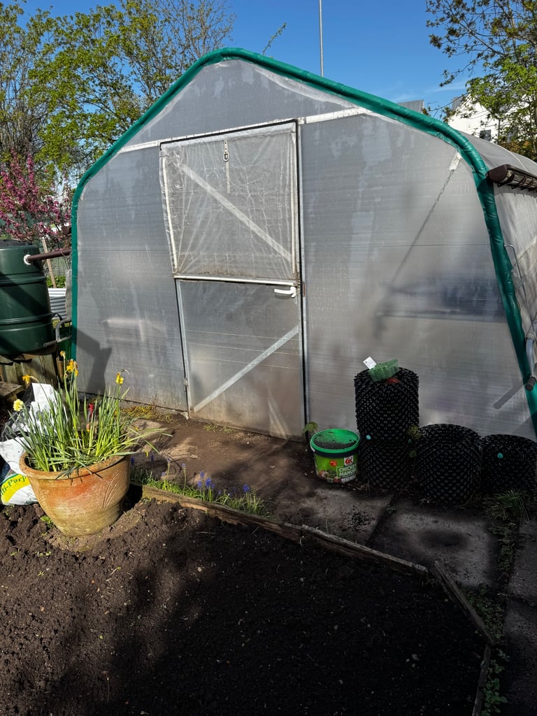 Haygrove polytunnel