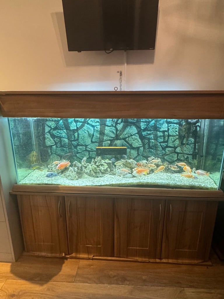 5FT FULLY LOADED FISH TANK FOR SALE (BARGAIN)