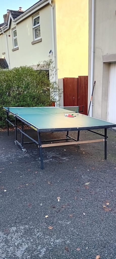 image for Table tennis table