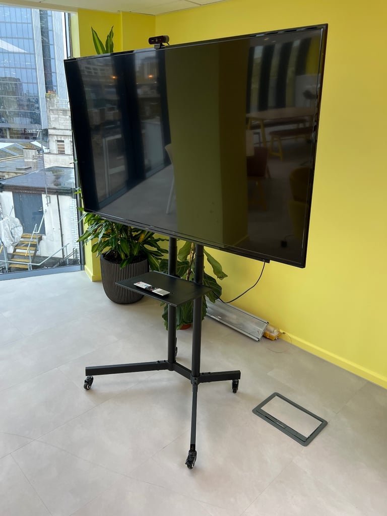 65 inch tv on wheels 