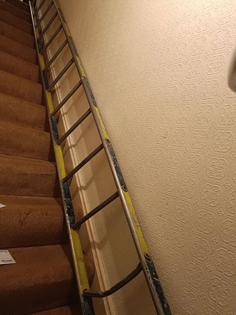 image for 5m with 13 rungs single ladder