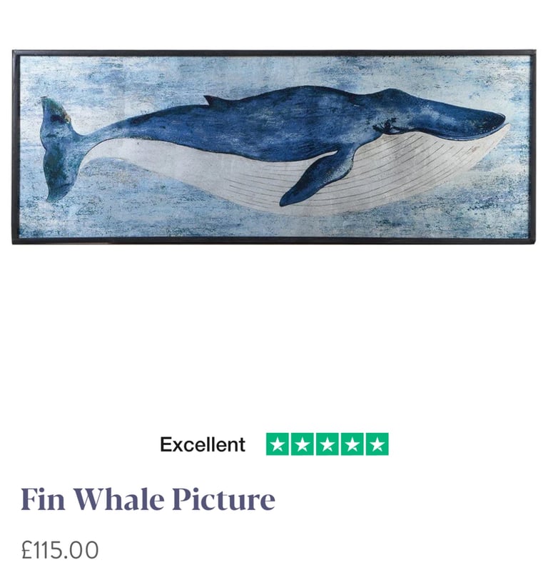 image for Fin Whale Metal Framed Art 