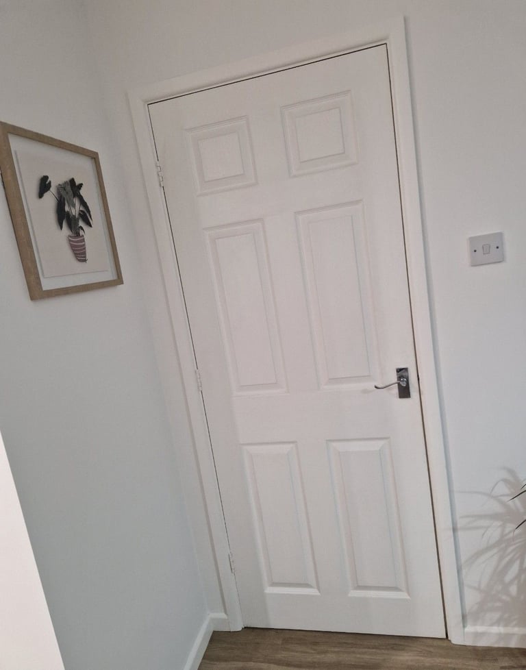 5 White Panel doors 