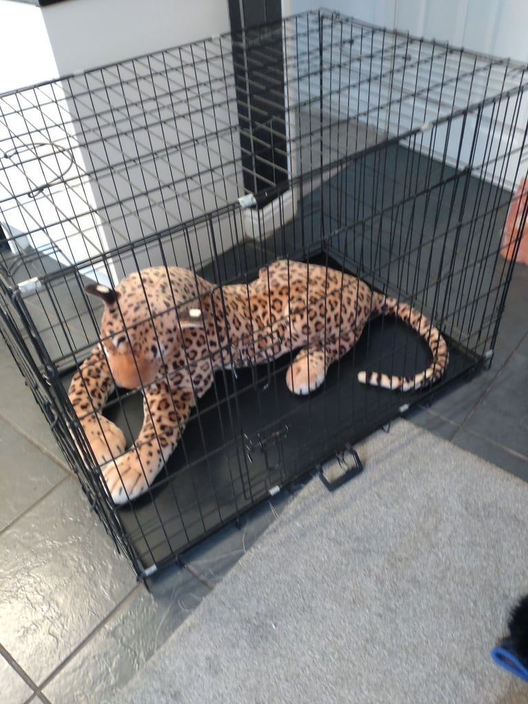 Very large dogs crate  ideal for large breed pick up only 