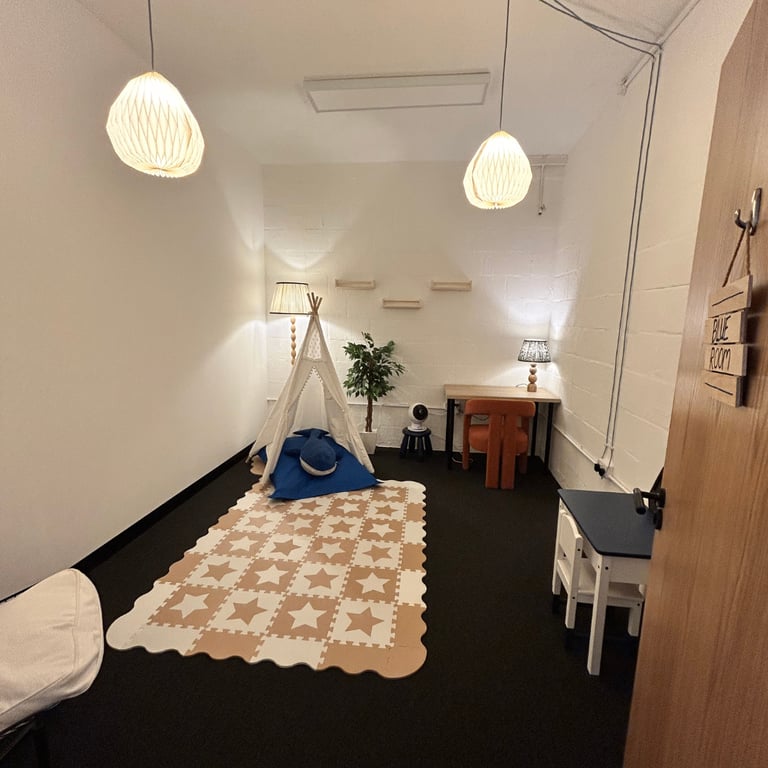 Paediatric therapy/ teaching room for tutors/ speech therapists/ OT/ Physios