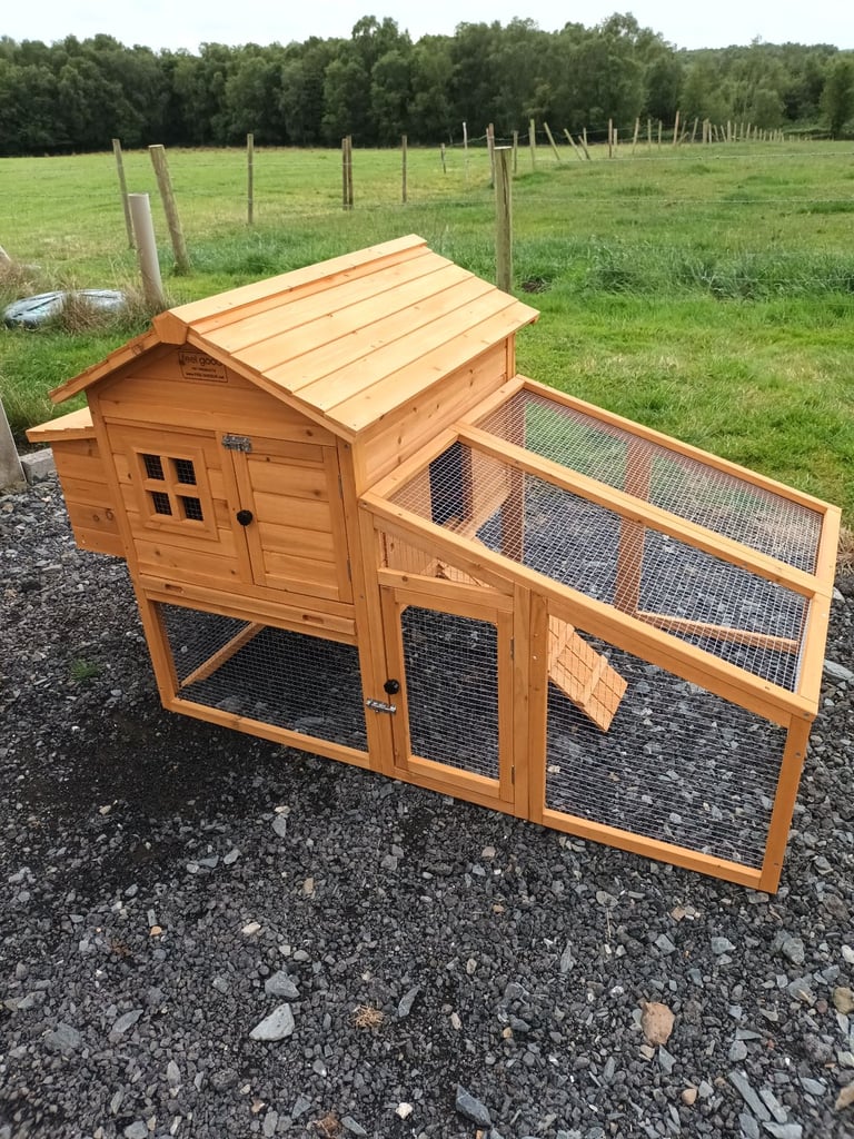 Pullets for sale chickens poultry hens coops arks