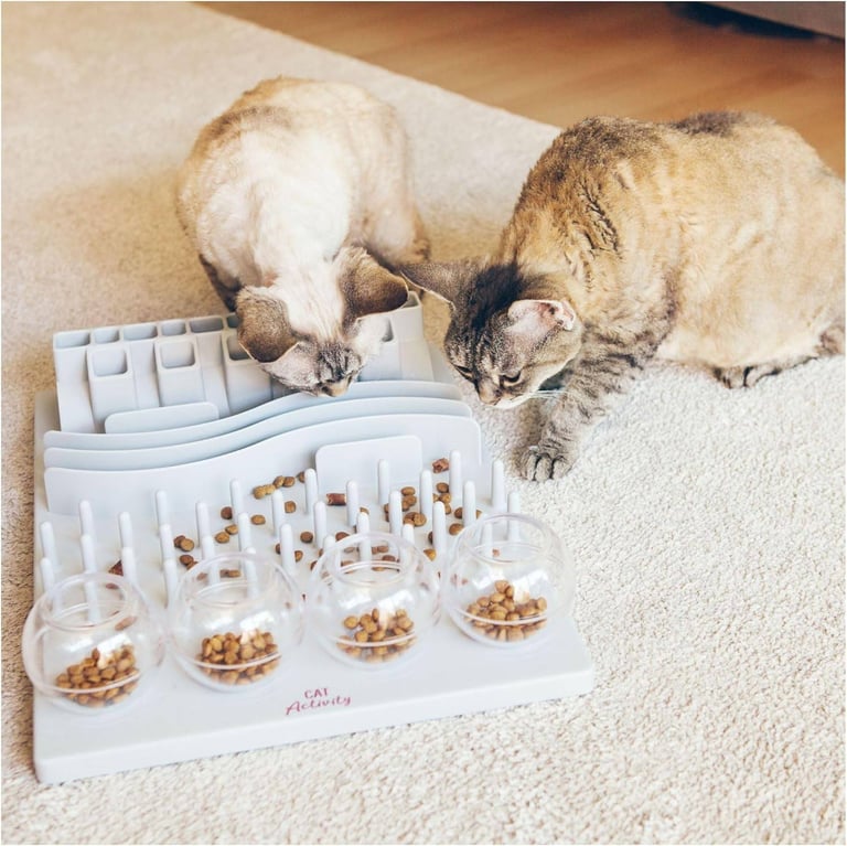 image for Cat's Play Treat Puzzle Slow Feeder,